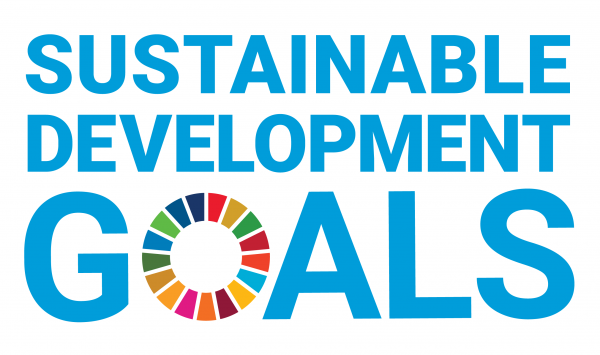 E_SDG_logo
