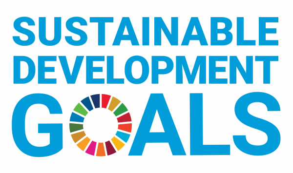 E_SDG_logo E_SDG_logo