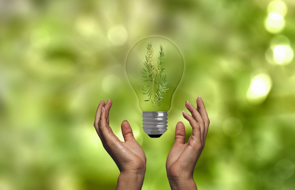 A lightbulb with a fern growing inside of it, hovering between two hands that appear to be supporting it.